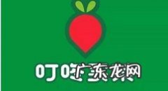 叮咚买菜怎么评价叮咚买菜进行评价的教程