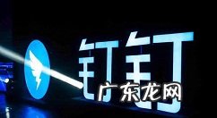 钉钉打卡记录在哪看钉钉查看打卡记录的教程