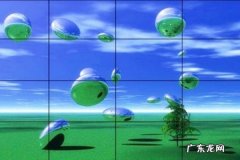 拼多多客服怎么联系?怎么给客服传照片?