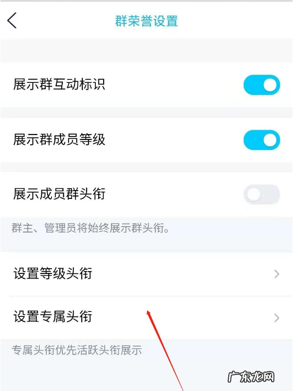 qq群主设置头衔怎么做qq群主给成员添加头衔步骤一览,群主专属群头衔超仙?