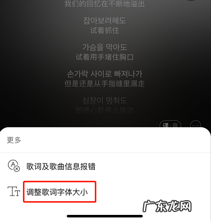 网易云音乐歌词字体大小怎么调整网易云音乐更改歌词字体大小步骤介绍,怎么调手机字体大小?
