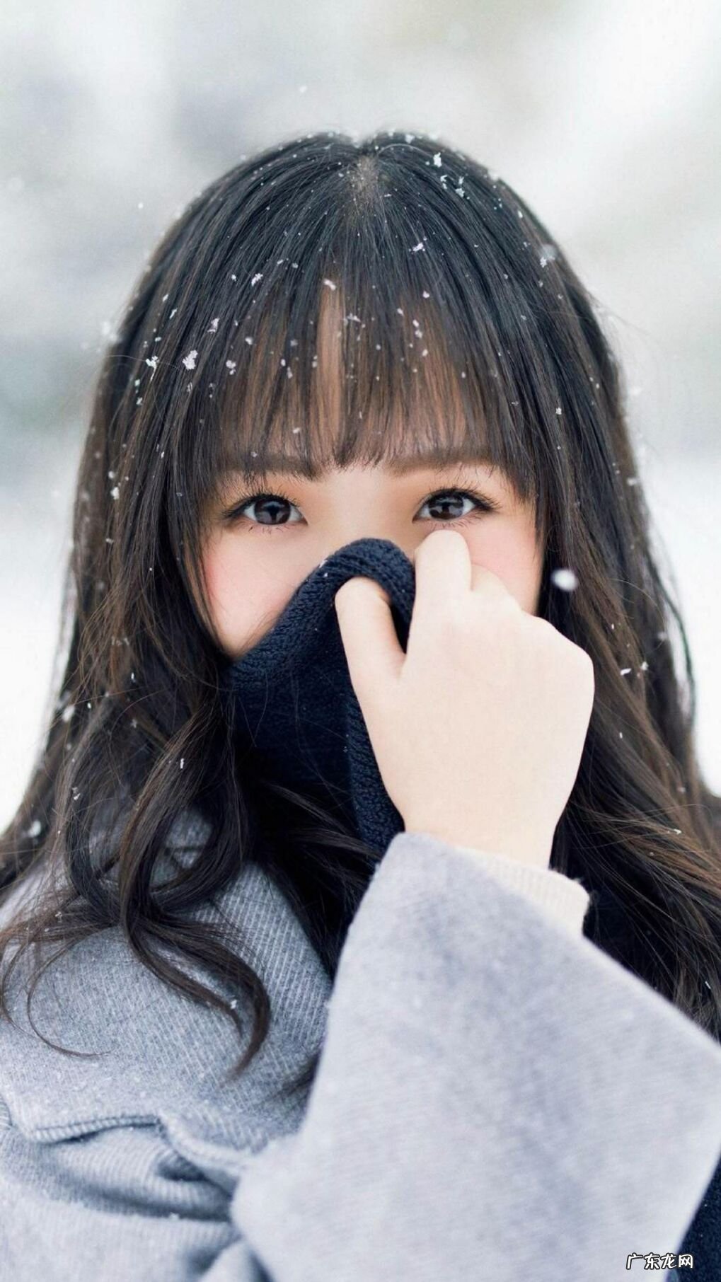 奇志大兵双簧台词《英雄就义》的