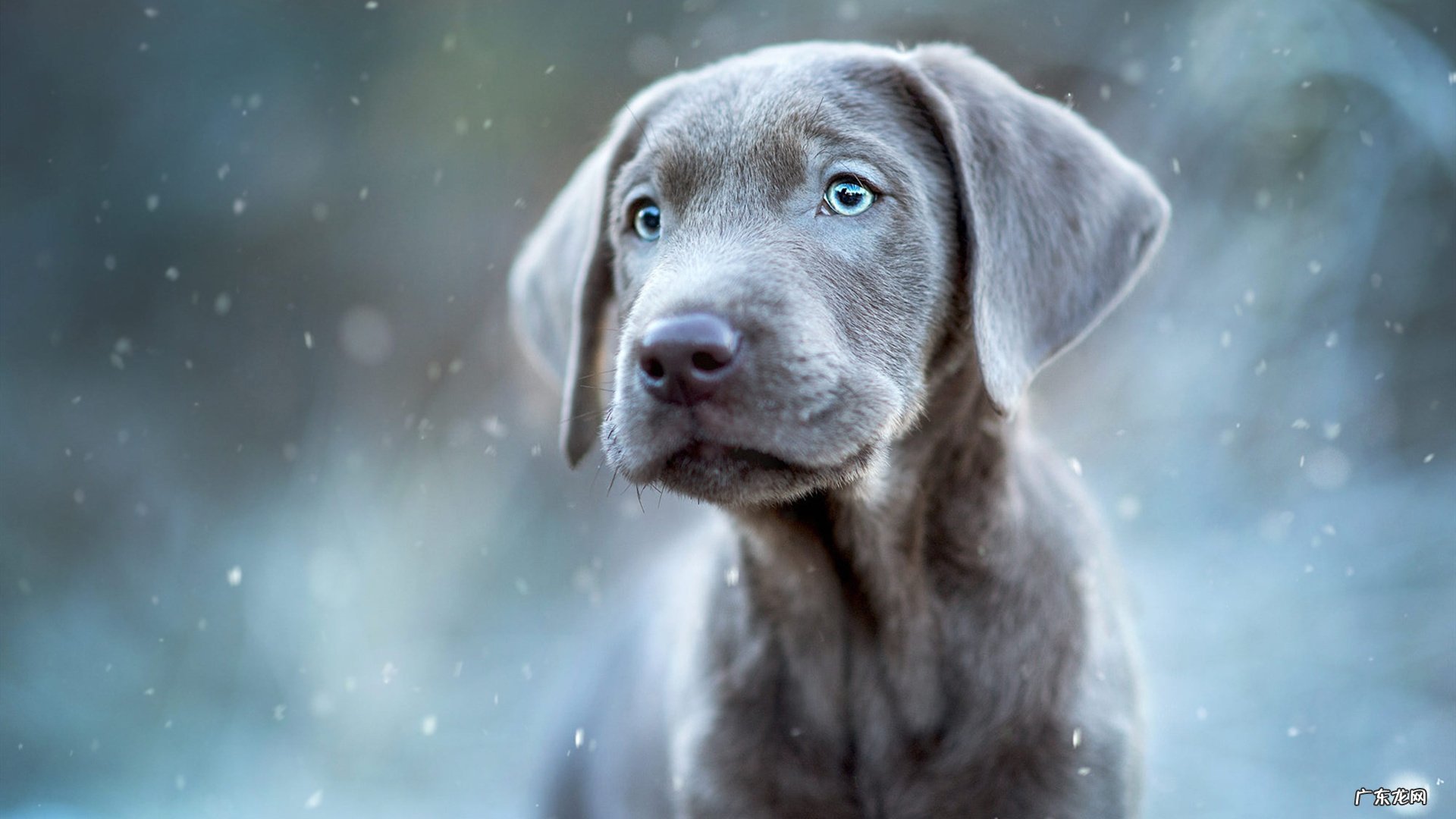 什么叫做 纤维膨胀还有通货膨胀