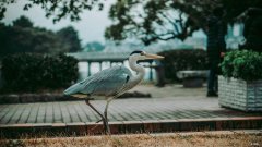 淘宝三无产品如何投诉 买了三无产品如何认定商家欺诈的