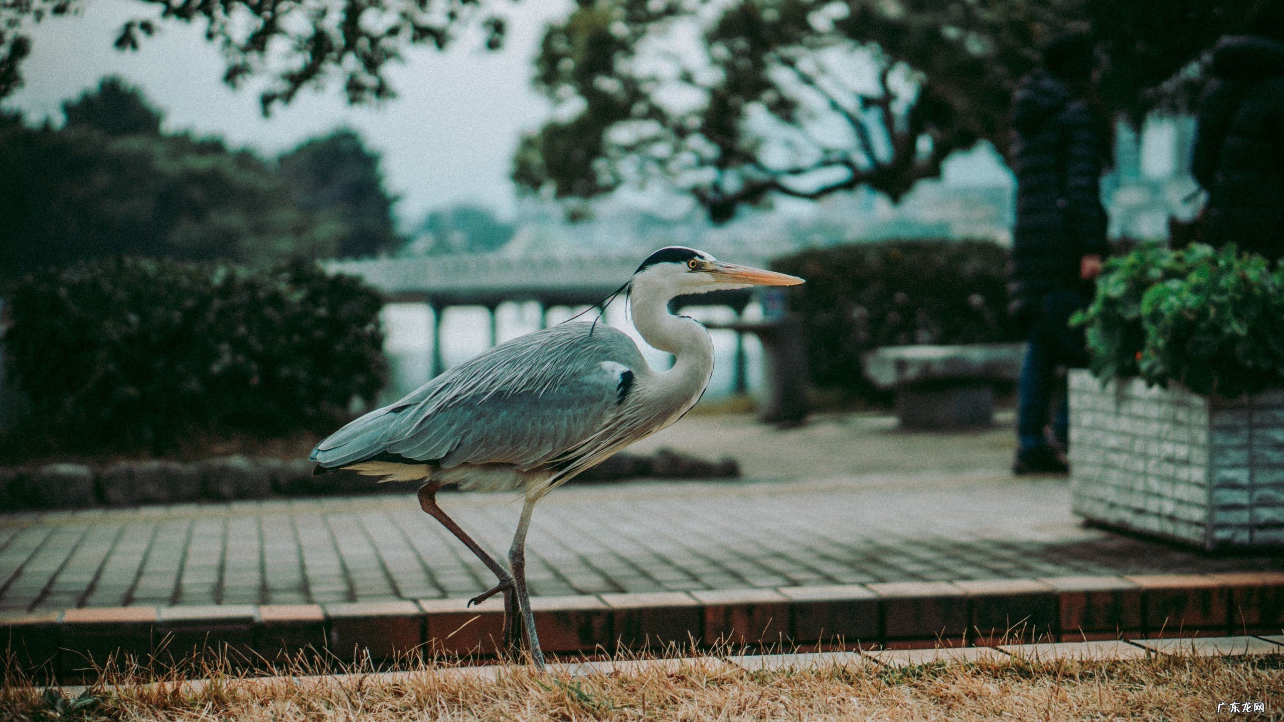 淘宝三无产品如何投诉 买了三无产品如何认定商家欺诈的