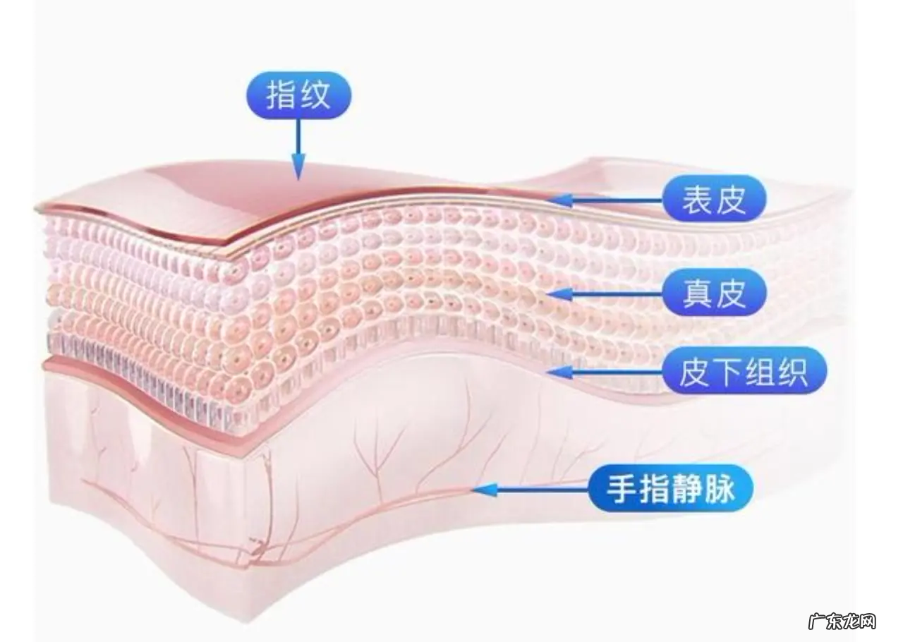 揭秘指纹被“贴膜破解”之谜 智能锁指纹贴能打开指纹锁嘛