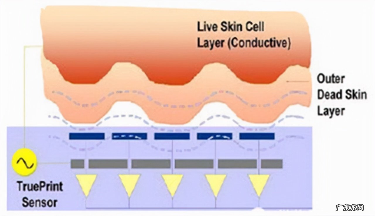 揭秘指纹被“贴膜破解”之谜 智能锁指纹贴能打开指纹锁嘛