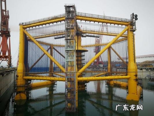 三文鱼多少钱一公斤 三文鱼多少钱一斤