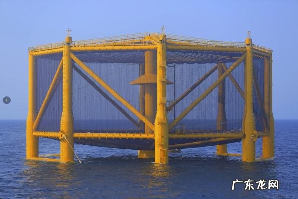 三文鱼多少钱一公斤 三文鱼多少钱一斤