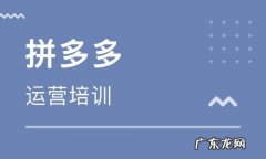 拼多多怎么运营？拼多多商家教程介绍