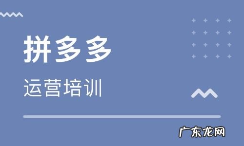 拼多多怎么运营?拼多多商家教程介绍