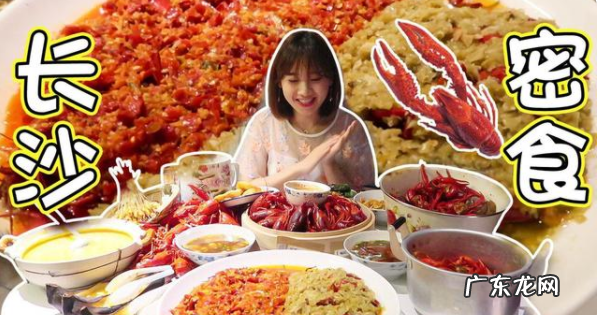 小贝饿了个人资料真实姓名 小贝饿了一年赚多少钱