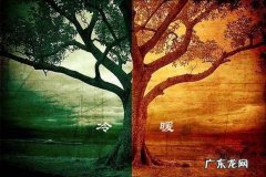 哲学三大定律总结 对立统一规律揭示了什么规律