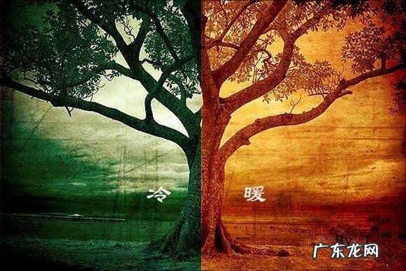 哲学三大定律总结 对立统一规律揭示了什么规律