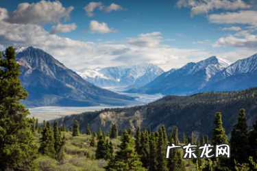 抖音小店品类可以修改吗?怎么选类目?