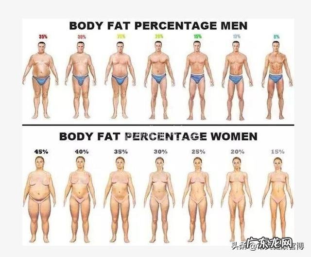 适度超重的人可能更长寿?体重与健康的关系看这几张表就够了