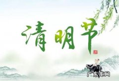 淘宝清明节会做活动吗？如何做好筹备？