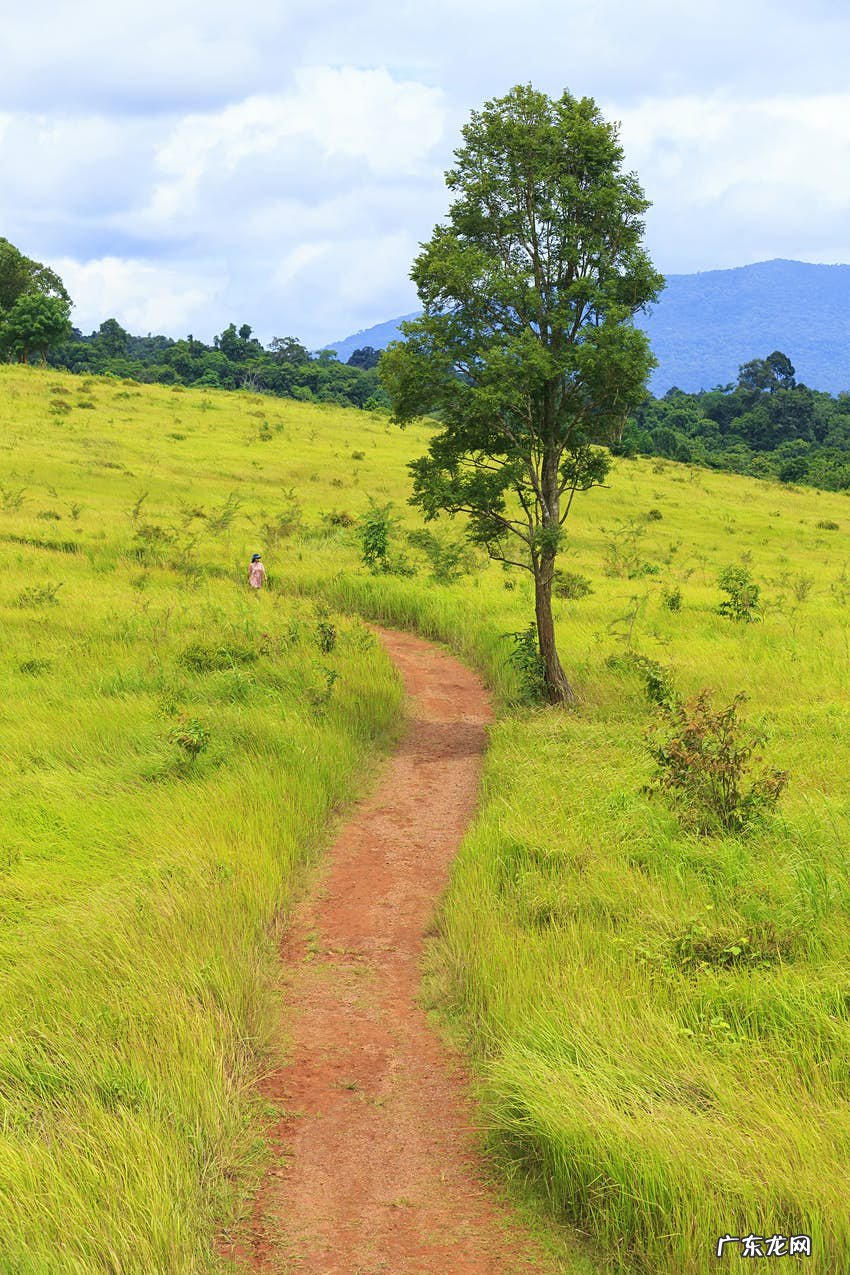 泰国哪些地方值得去 泰国好玩吗