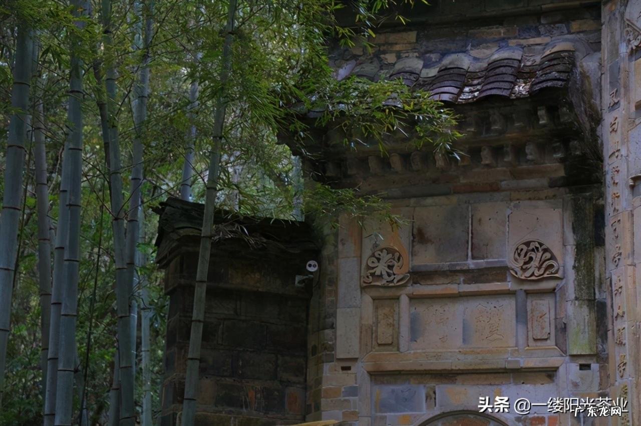 福建武夷山有什么好玩的 武夷山好玩吗