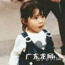 蔡依林整容前后对比照片 蔡依林整容到底整了哪些地方