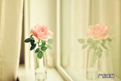 拼好货和拼多多的关系是什么？二者有什么区别？