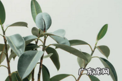 抖音怎么直播上架卖东西？如何选品？