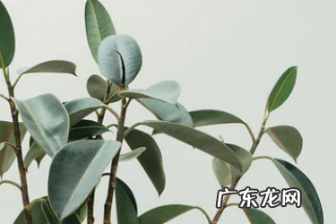 抖音怎么直播上架卖东西？如何选品？