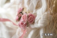 拼多多联盟官网联盟叫什么名字？如何操作？