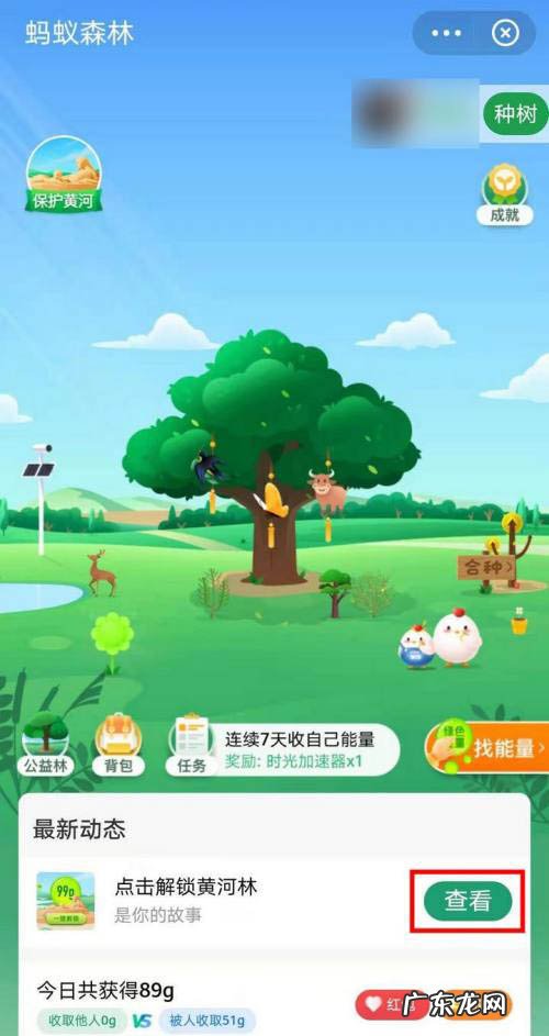 支付宝保护黄河如何玩支付宝保护黄河贴纸获取方法,微信支付贴纸免费领取?