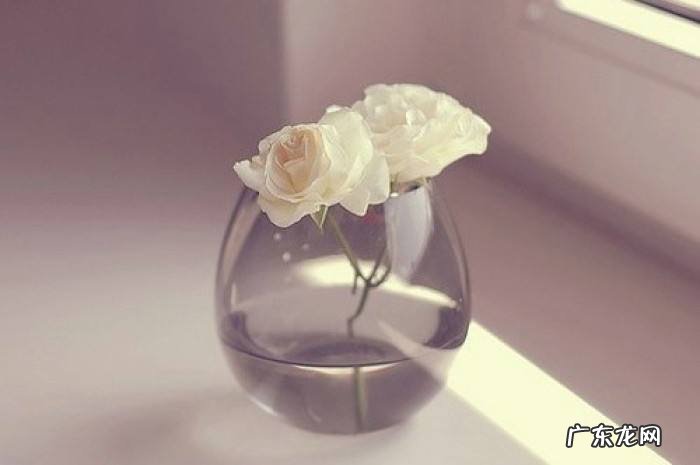 拼多多砍价窍门是什么?有技巧吗?