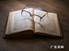 拼多多大数据怎么看？实时访客数据在哪里？