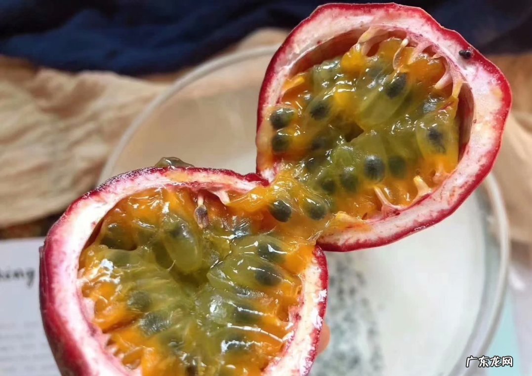 热带水果名称大全集 亚热带水果有哪些