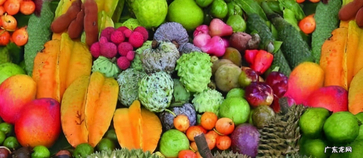 热带水果名称大全集 亚热带水果有哪些