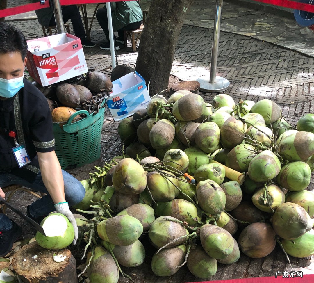 热带水果名称大全集 亚热带水果有哪些
