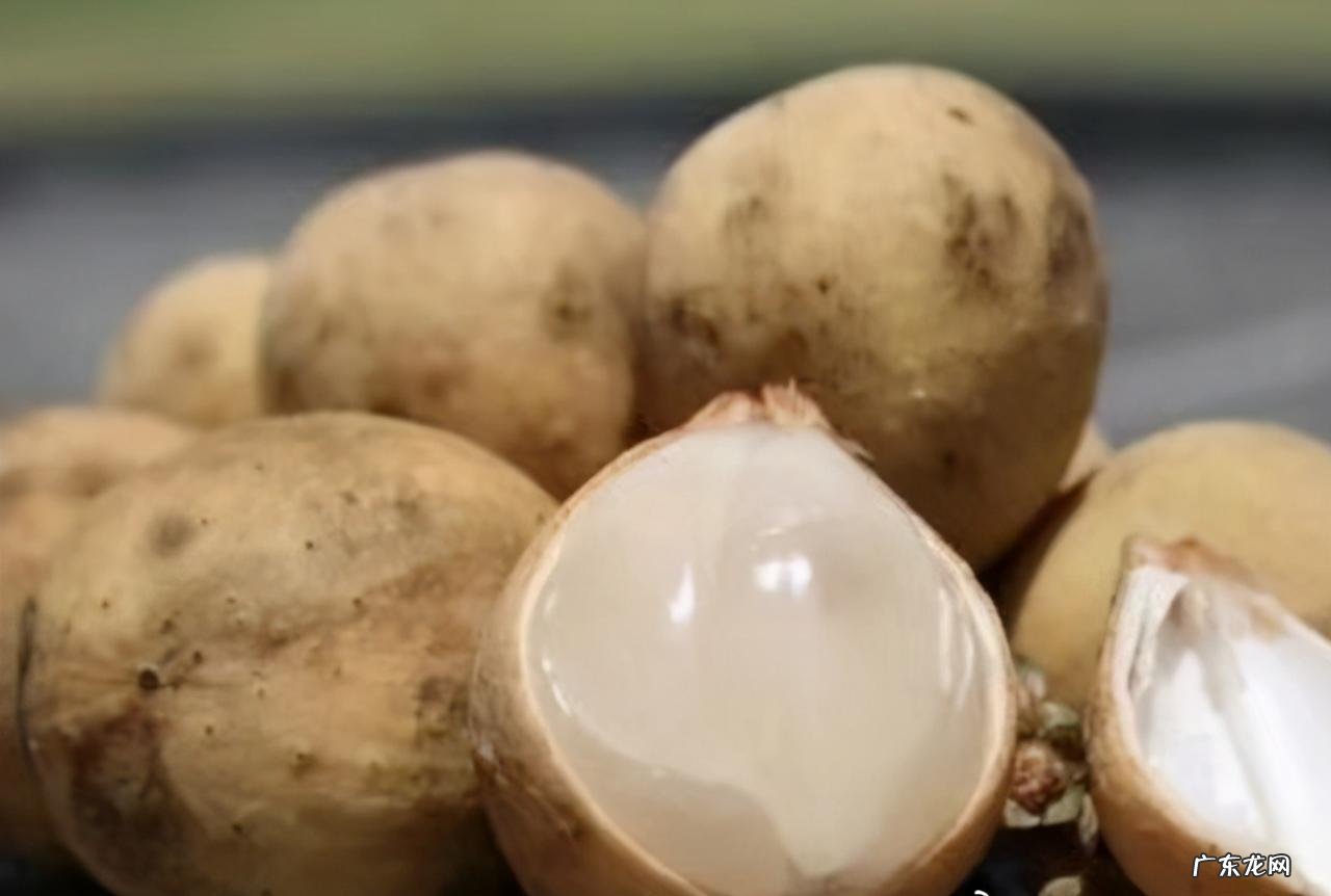 热带水果名称大全集 亚热带水果有哪些