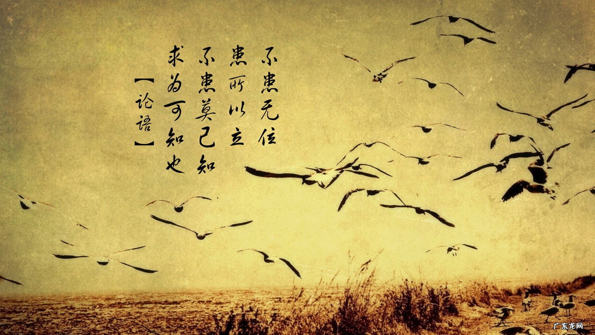 喝碧生源减肥茶减肥有用吗