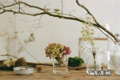 拼多多昵称怎么改不了？如何更改？