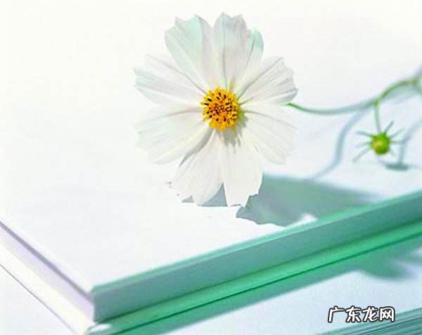 拼多多主图尺寸是多少？如何发布宝贝？