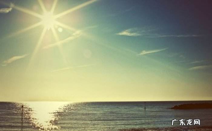 拼多多怎么投诉有效？投诉方法有几种？