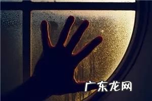 钝感力是在职场中最需要的能力 钝感力什么意思