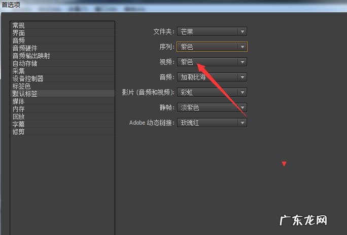 premiere如何将视频标签设置为彩虹,premiere如何设置视频尺寸?