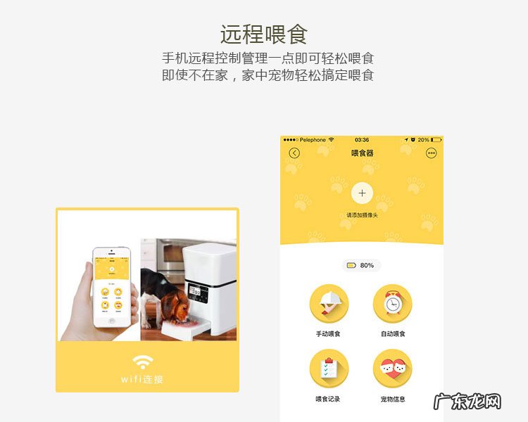 宠物智能自动喂食器发展前景介绍 智能宠物喂食器的作用