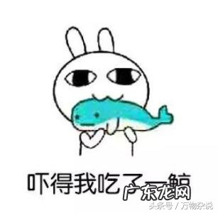 呼吸税是谁提出来的?应不应该交呼吸税?