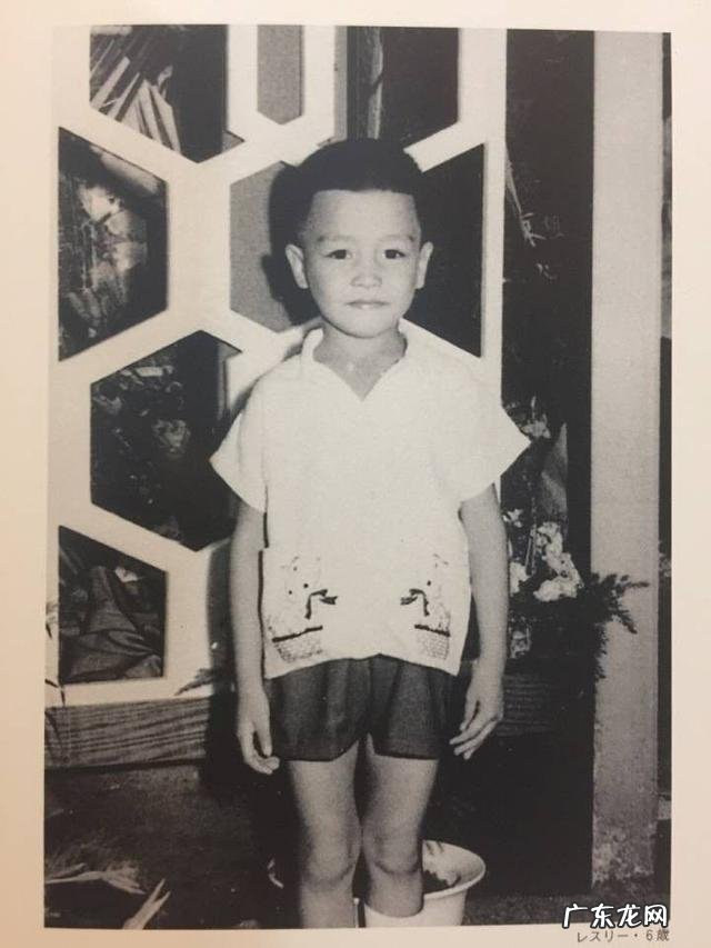 唐鹤德为什么没能留住张国荣 唐鹤德与张国荣什么关系