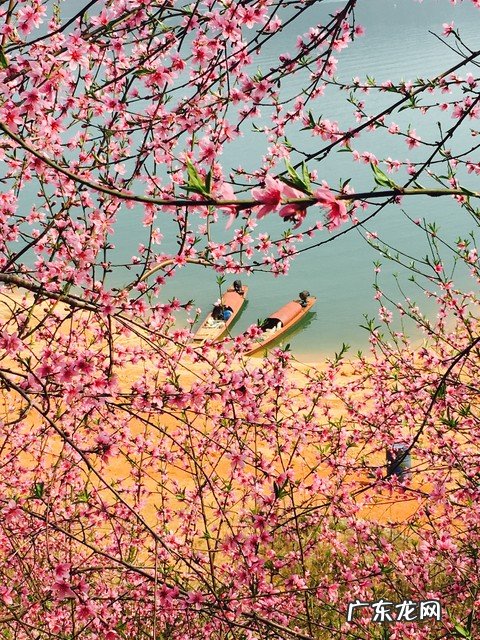 自学导游证大概多长时间 如何考导游证和领队证