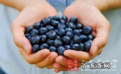 蓝莓的功效与营养 蓝莓一天吃多少为宜