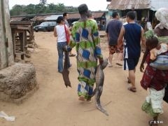 带你揭秘非洲人的真实生活 非洲人的生活是什么样子的