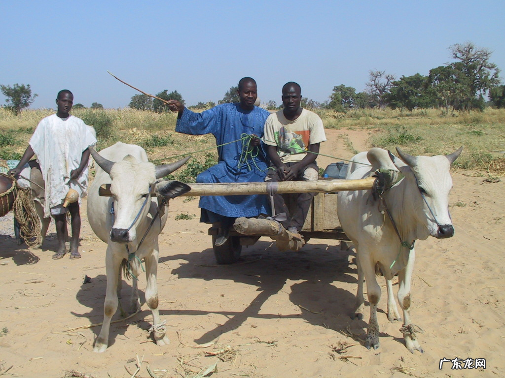 带你揭秘非洲人的真实生活 非洲人的生活是什么样子的