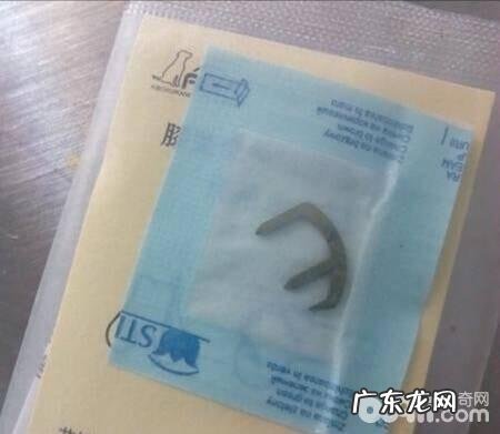 小狗里侧髌骨脱位的病症及医治