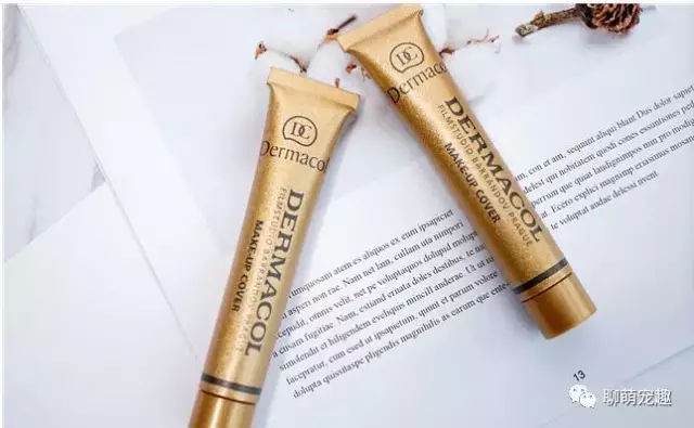 全球遮瑕膏排行榜10强 遮瑕膏哪个牌子好遮斑效果好